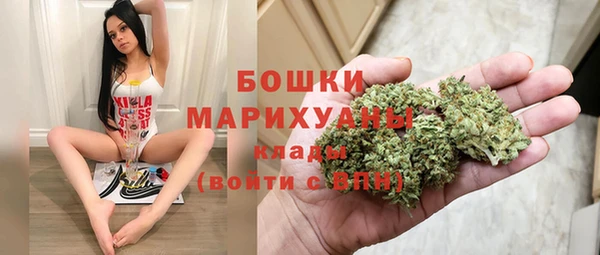 ПСИЛОЦИБИНОВЫЕ ГРИБЫ Верхнеуральск