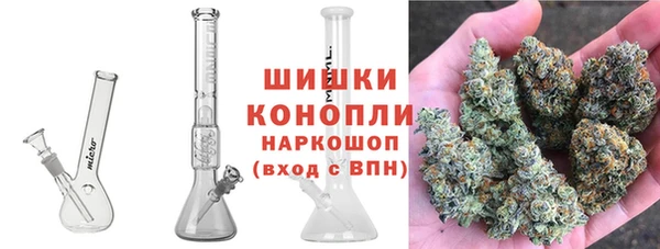 ПСИЛОЦИБИНОВЫЕ ГРИБЫ Верхнеуральск