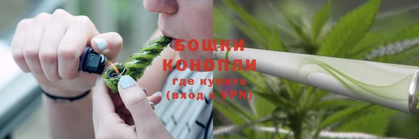 ПСИЛОЦИБИНОВЫЕ ГРИБЫ Верхнеуральск
