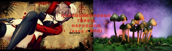 ПСИЛОЦИБИНОВЫЕ ГРИБЫ Верхнеуральск