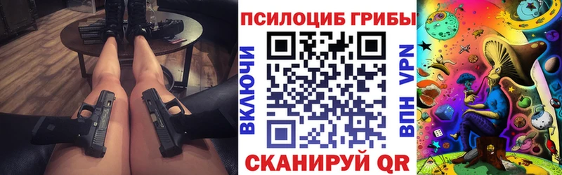 Псилоцибиновые грибы Psilocybe  Купить  Медынь 
